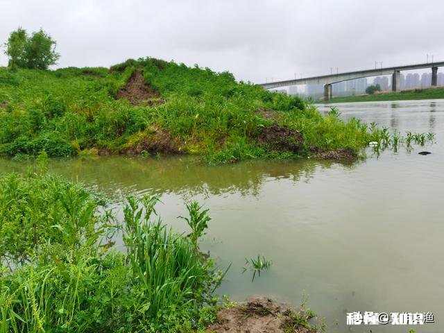 急流水野钓黄辣丁，用固定铅坠钓，还是跑铅坠钓好
