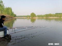 急流水野钓黄辣丁，用固定铅坠钓，还是跑铅坠钓好