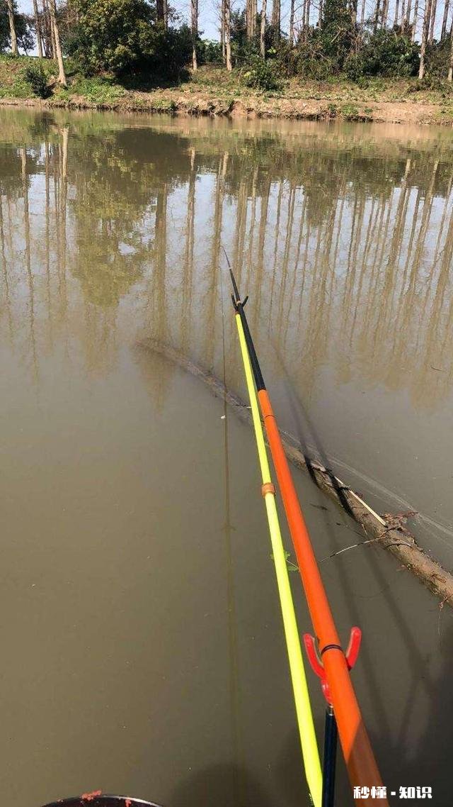 急流水野钓黄辣丁，用固定铅坠钓，还是跑铅坠钓好