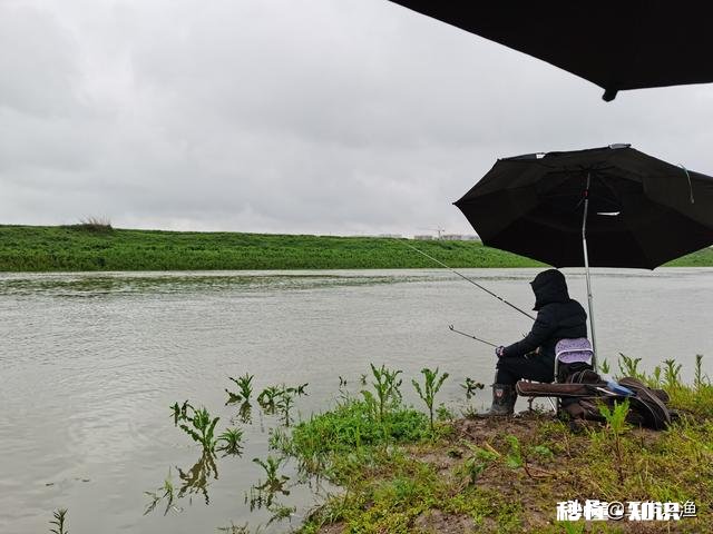 急流水野钓黄辣丁，用固定铅坠钓，还是跑铅坠钓好