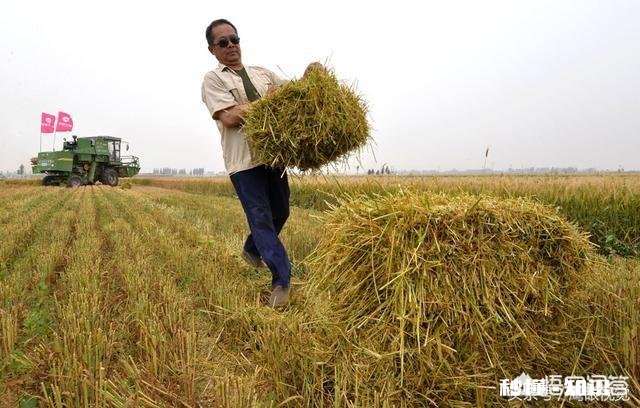 乡村学校该不该给学生放农忙假