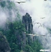 你为什么喜欢看书，读书可以培养气质吗