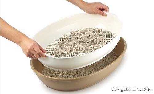 原本会在猫砂盆里上厕所，最近都在床上尿尿了，请问是什么情况