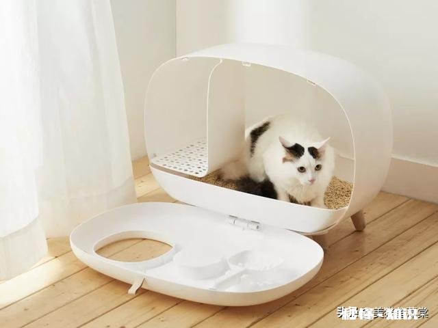 原本会在猫砂盆里上厕所，最近都在床上尿尿了，请问是什么情况