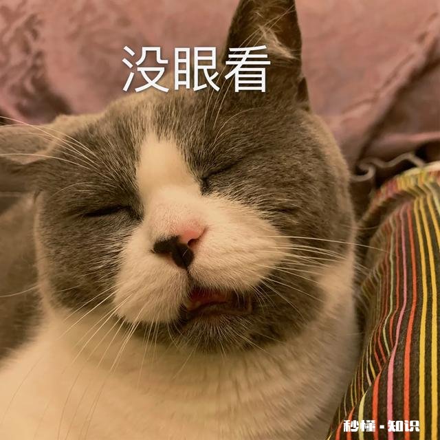 原本会在猫砂盆里上厕所，最近都在床上尿尿了，请问是什么情况