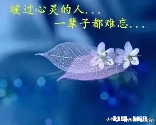 得到了又亲手把她弄丢了，最后自己后悔了，告诉我该怎么活下去呀