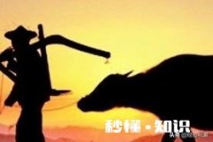 农民种地收入低的原因是什么如何解决