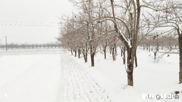 农民种地收入低的原因是什么如何解决