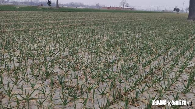 农民种地收入低的原因是什么如何解决