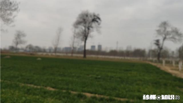 农民种地收入低的原因是什么如何解决