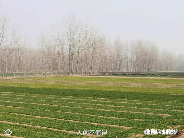 农民种地收入低的原因是什么如何解决