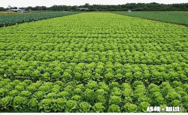 农民种地收入低的原因是什么如何解决