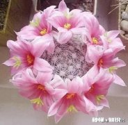 兄弟姐妹天各一方，借清明节相聚给父母扫墓可以吗