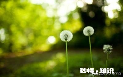 蒲公英种植技术有哪些