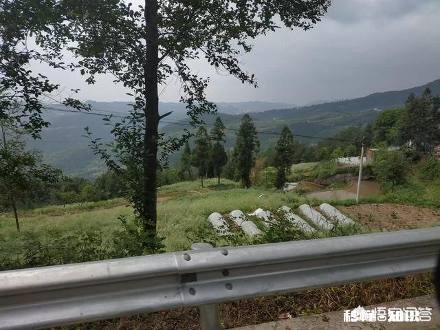 在农村，年轻人如何收入二十万左右