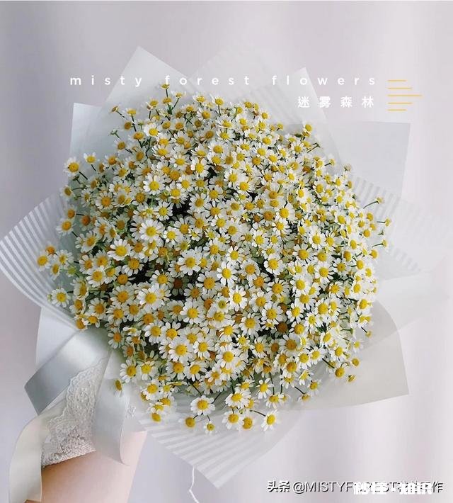 你如何看待艺术培训机构中的品牌连锁