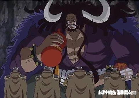 为什么新世界的四皇都想做海贼王，却好像互不侵犯，而路飞或者基德来到新世界就要打四皇