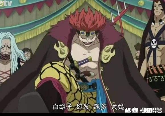 为什么新世界的四皇都想做海贼王，却好像互不侵犯，而路飞或者基德来到新世界就要打四皇