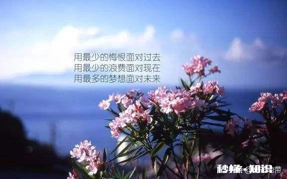 你是否还在坚持自己的梦想，并为之奋斗