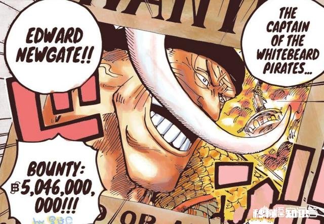 《海贼王》：罗杰没有吃恶魔果实悬赏都能超过凯多和白胡子，如果吃了果实会怎么样