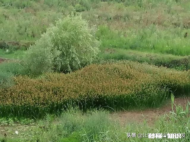 遇到曾经深爱的人该怎么办