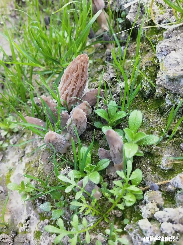 哪里可以直接买到从果园直接发货的水果