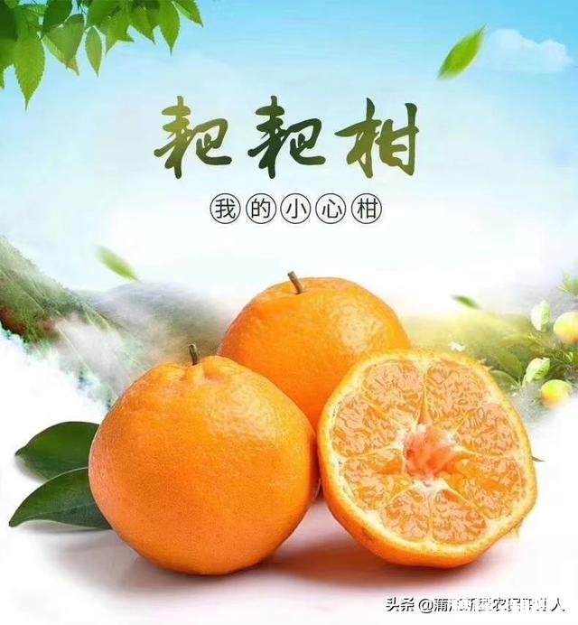 哪里可以直接买到从果园直接发货的水果