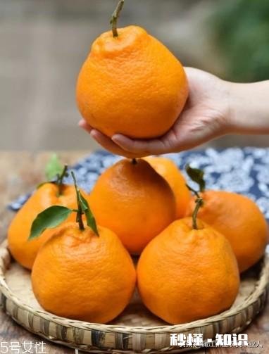 哪里可以直接买到从果园直接发货的水果