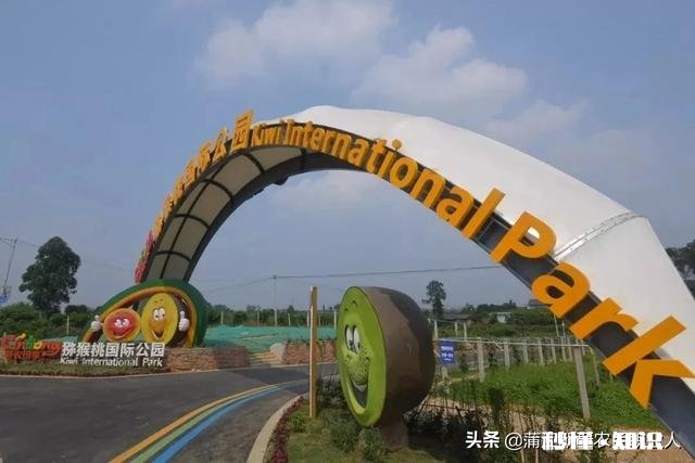 哪里可以直接买到从果园直接发货的水果