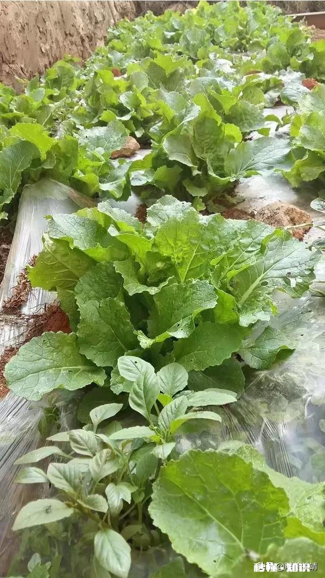 农村人做电商应该注意什么