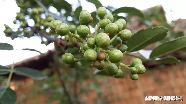 农村人做电商应该注意什么