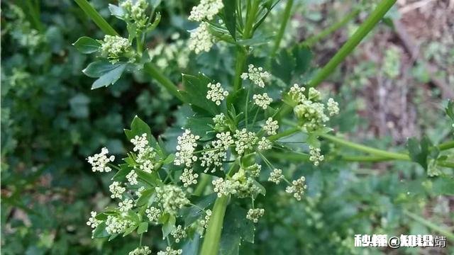 农村人做电商应该注意什么