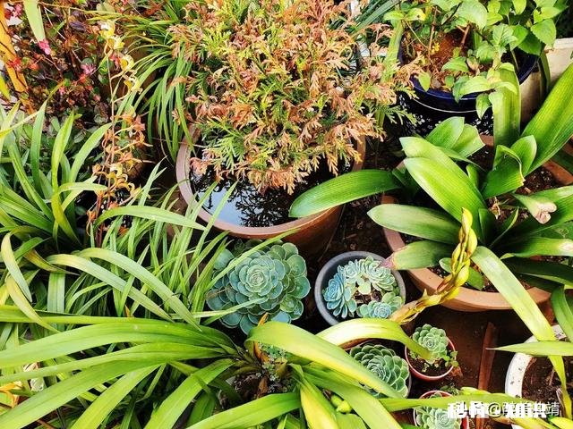 农村人做电商应该注意什么