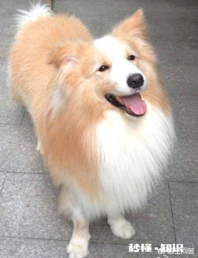 养德牧之后你的生活有什么变化吗