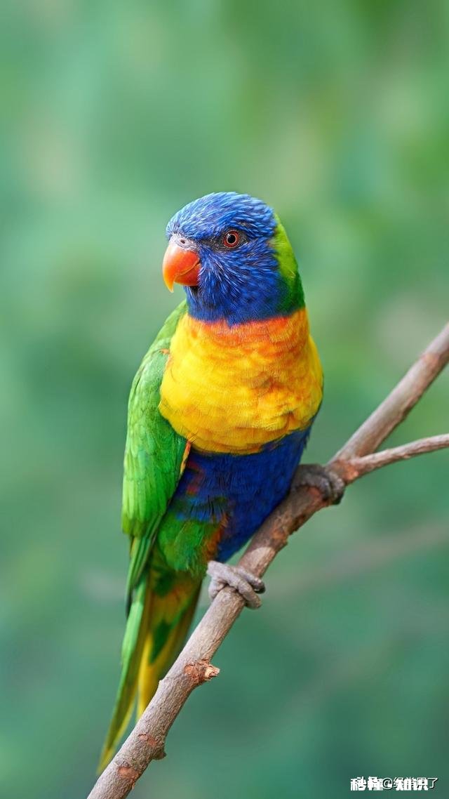 上学时你见过班里最奇葩的事是什么呢