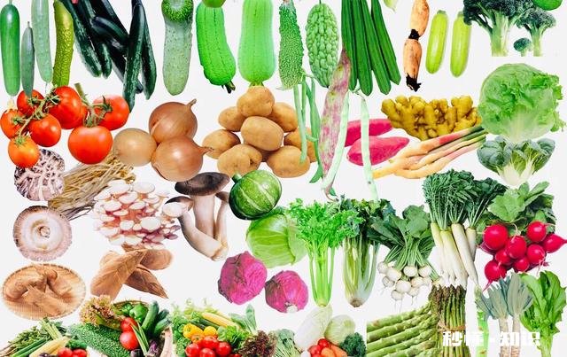 孩子挑食，不吃蔬菜，吃了蔬菜还反胃，怎么办