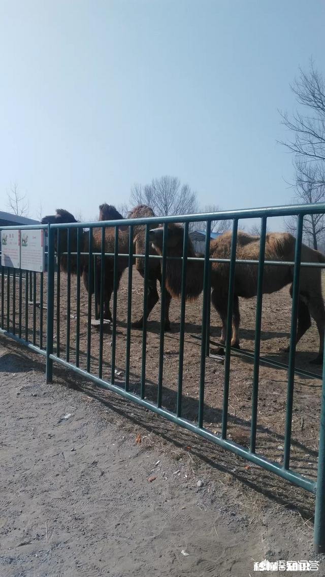 如何用一句话证明2018年你过的不容易