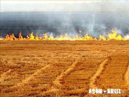 农村的秸秆有什么好办法处理并且能增加收入