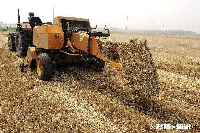 农村的秸秆有什么好办法处理并且能增加收入