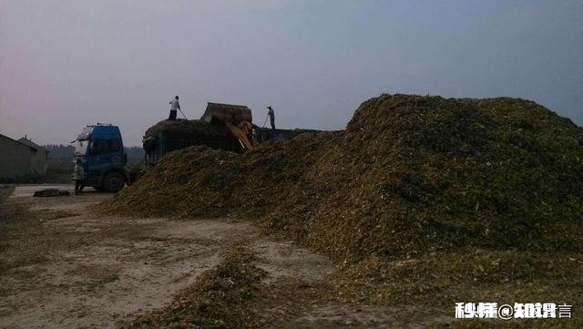 农村的秸秆有什么好办法处理并且能增加收入