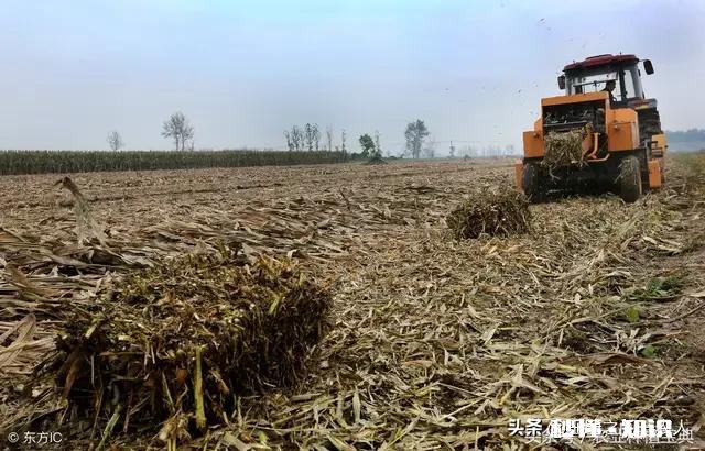 农村的秸秆有什么好办法处理并且能增加收入