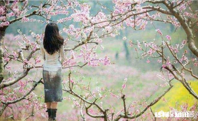 一句形容佳人的诗句是什么