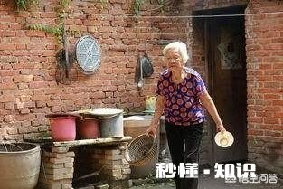 农村人没有儿女没有经济来源怎么办