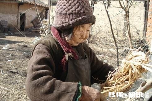 农村人没有儿女没有经济来源怎么办