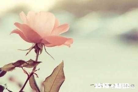 怎样规划和享受人生