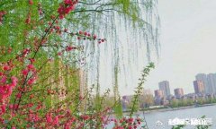 怎样规划和享受人生