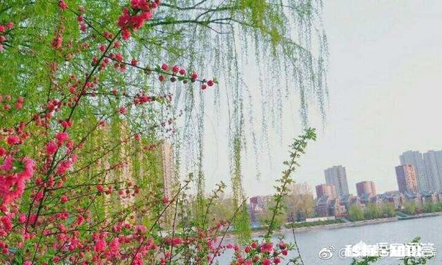 怎样规划和享受人生