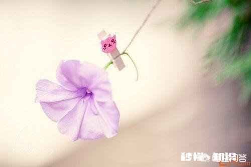 怎样规划和享受人生