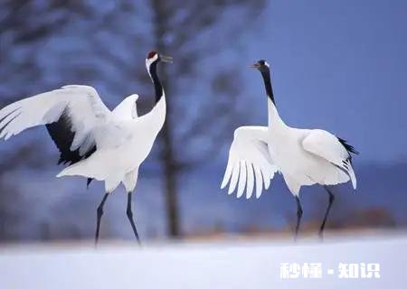 不懂文化的人就不能谈恋爱吗