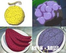 《海贼王》有哪些防御力极高的恶魔果实
